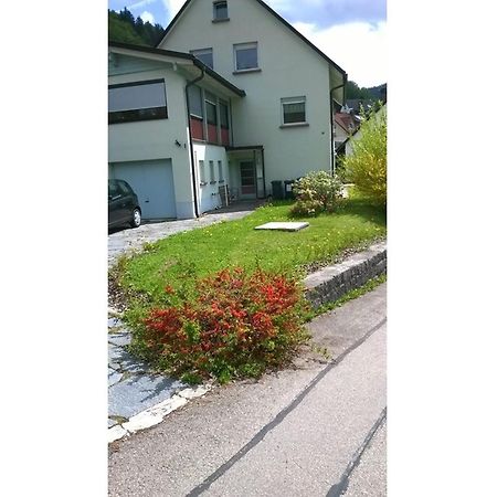 Haus Marion Apartment Todtnau Exterior photo